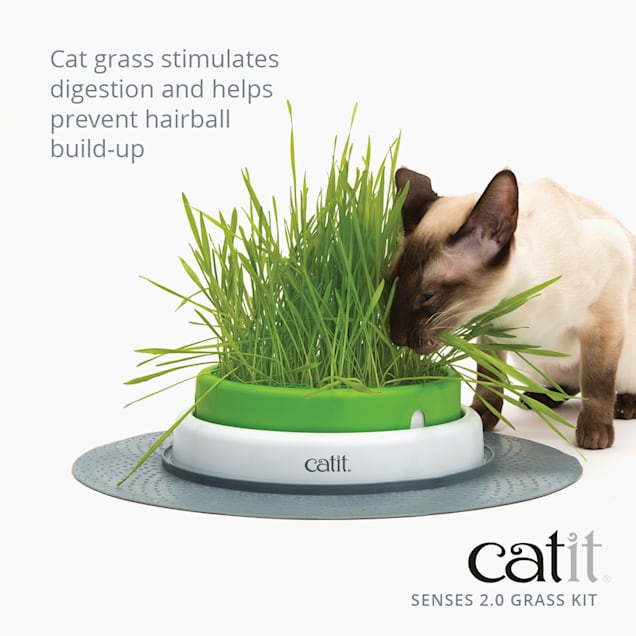 Catit Senses 2.0 Grass Kit Cat Toy Pack of 3 Petco