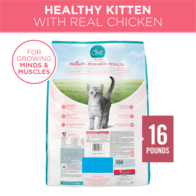 Purina ONE Healthy Kitten +Plus Formula High Protein Natural Dry Food, 16  lbs.