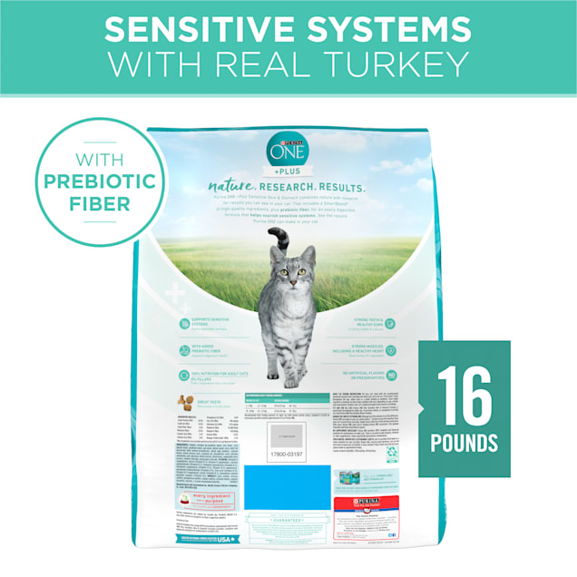 Purina ONE Sensitive Skin and Stomach Formula, +Plus Natural Dry Cat Food,  16 lbs.
