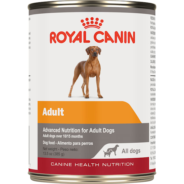 Royal Canin Canine Health Nutrition Adult In Gel Wet Dog Food 13 5 Oz Case Of 12 Petco