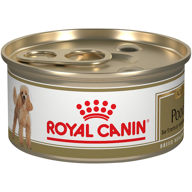 Royal canin puppy poodle food hotsell