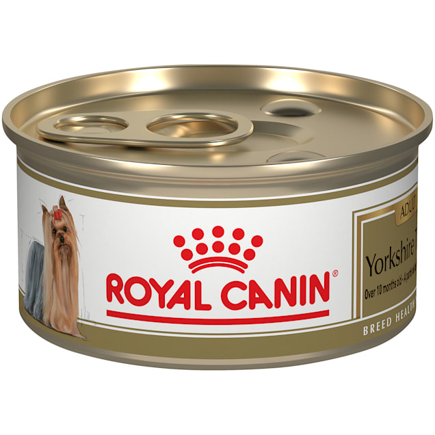 Wet dog food for yorkies cheap