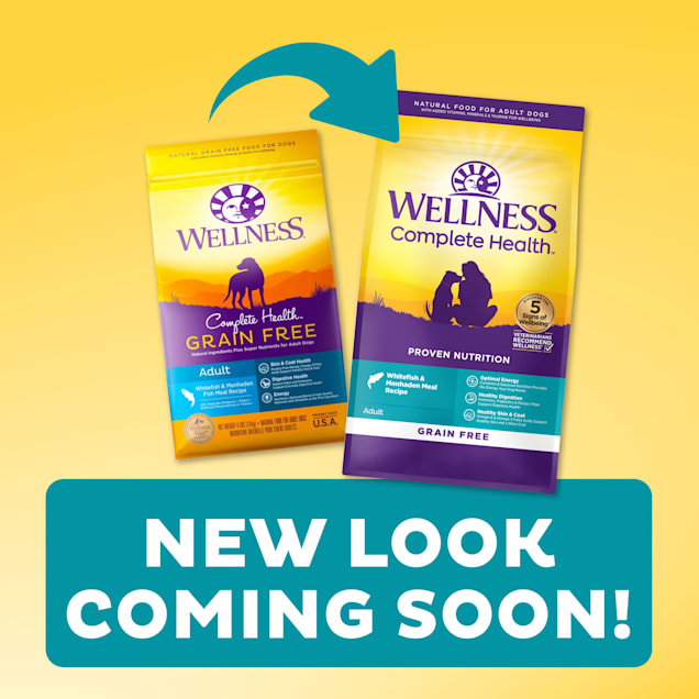 Wellness whitefish dog food best sale
