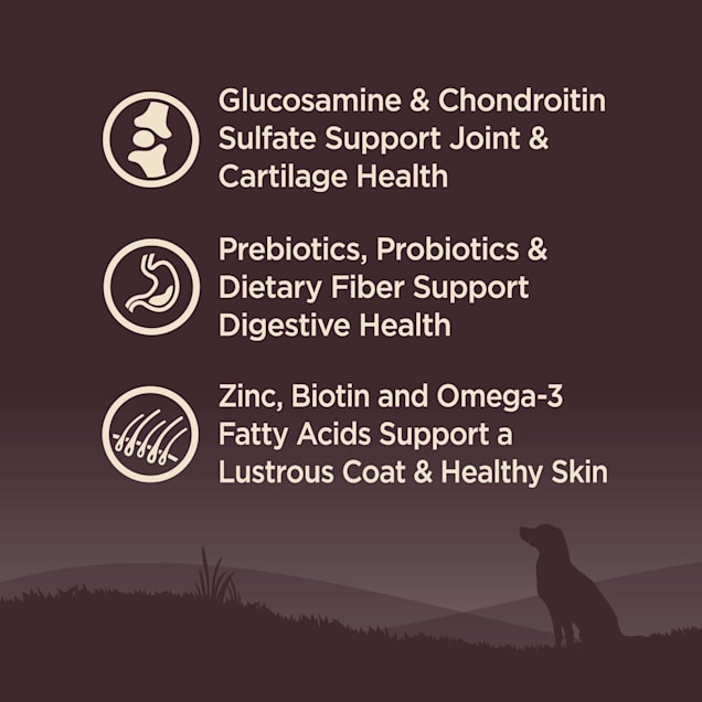 Wellness core natural grain free cheap