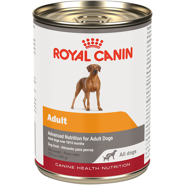 Royal Canin Canine Health Nutrition Adult In Gel Wet Dog Food, 13.5 oz., Case of 12 - Carousel image #1