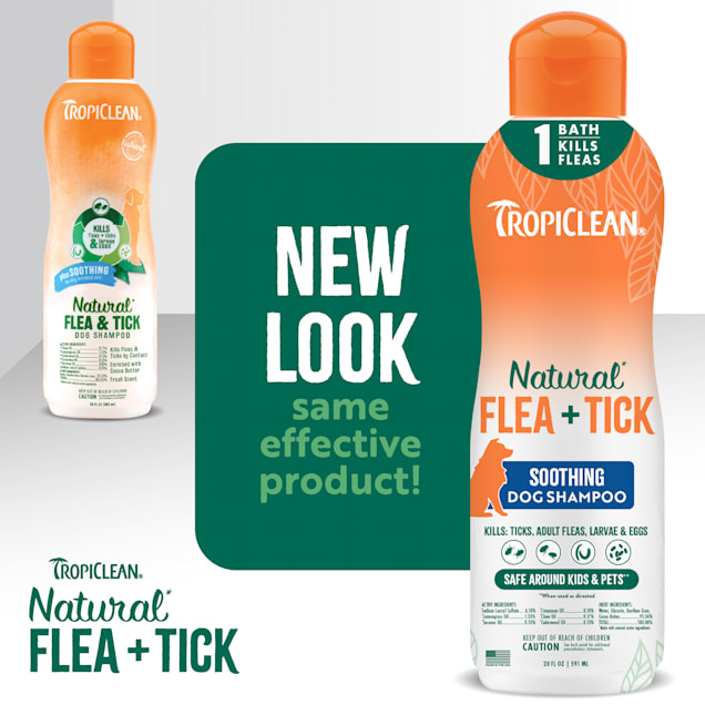 TropiClean Flea Tick Soothing Shampoo for Dogs 20oz