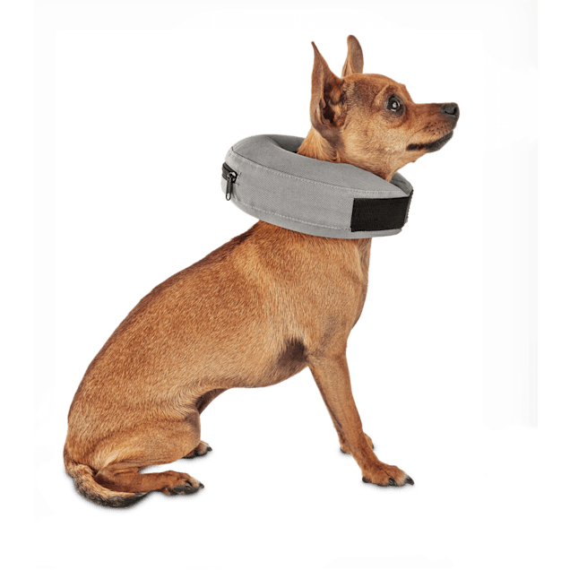 Petco Inflatable Cone 2025