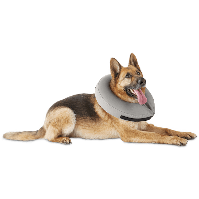 Petco cones for cats