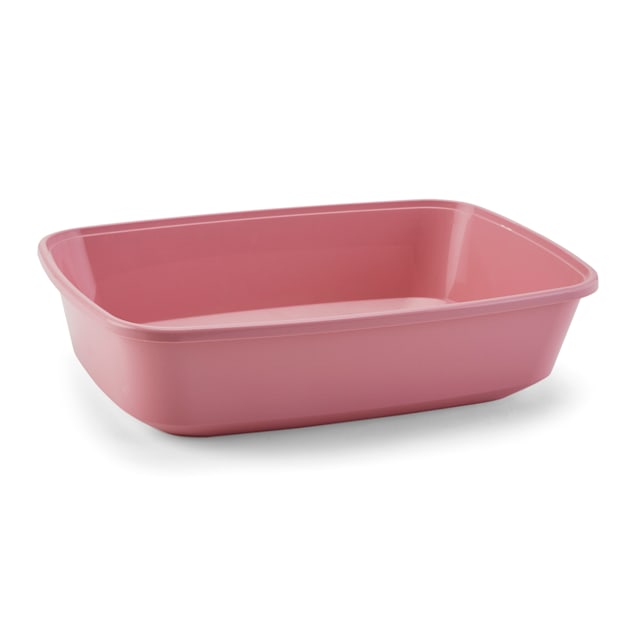 how to show kitten litter box