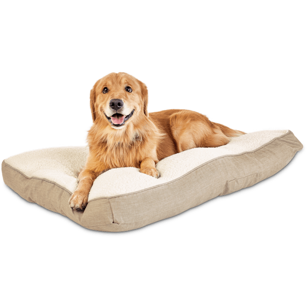 Harmony Khaki Lounger Dog Bed 40 L X 30 W Petco