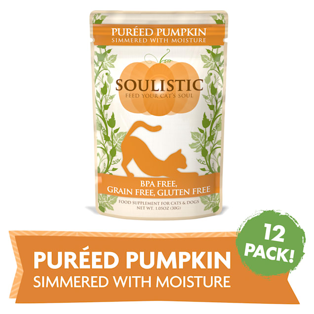 Pumpkin cat food discount