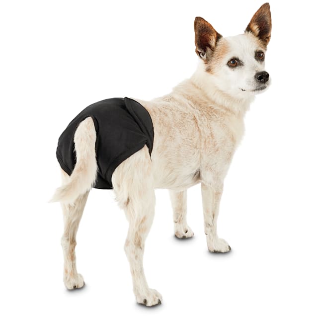 So Phresh Washable Diaper for Dogs, Small Petco