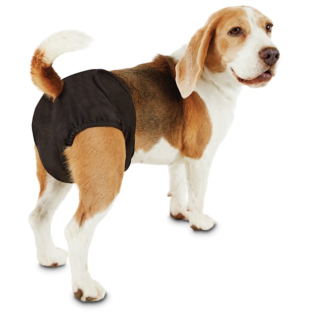 So Phresh Washable Diaper for Dogs, Medium Petco