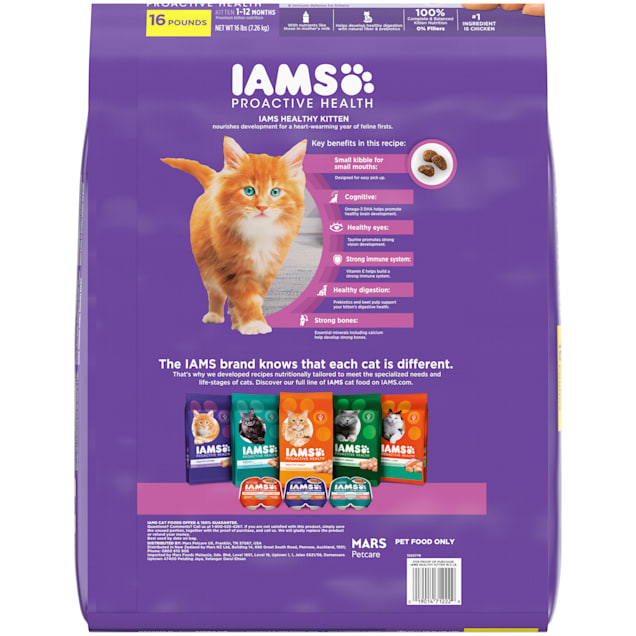 Iams healthy kitten dry food sale