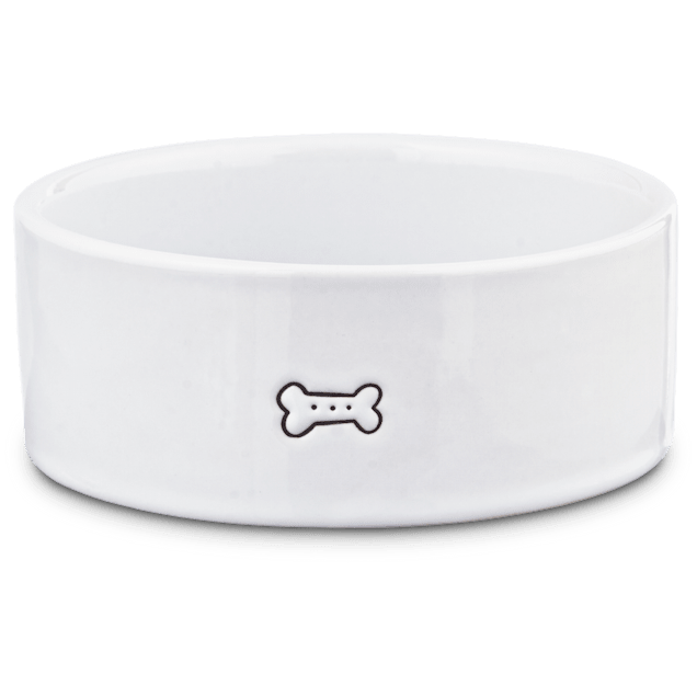 Cute dog water bowls hotsell