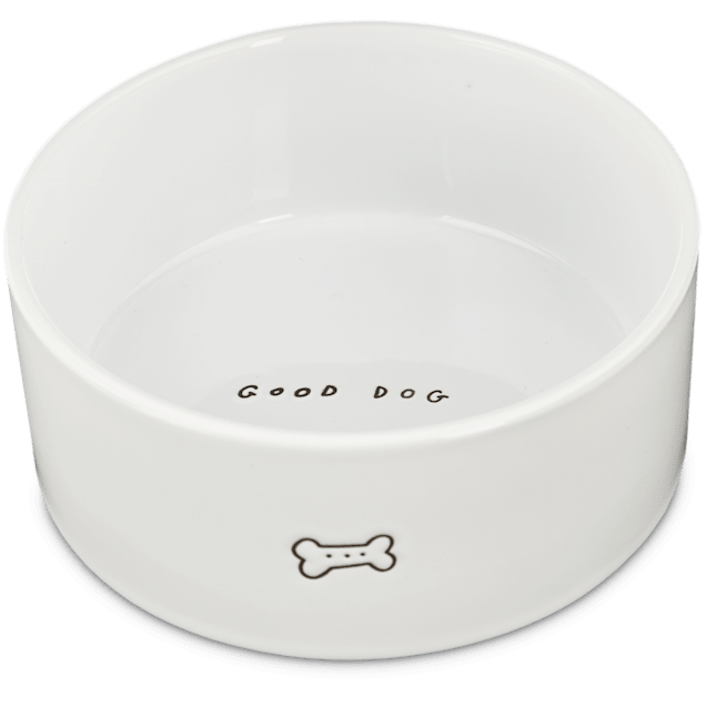EveryYay Dining In Good Ceramic Dog Bowl, 3 Cups