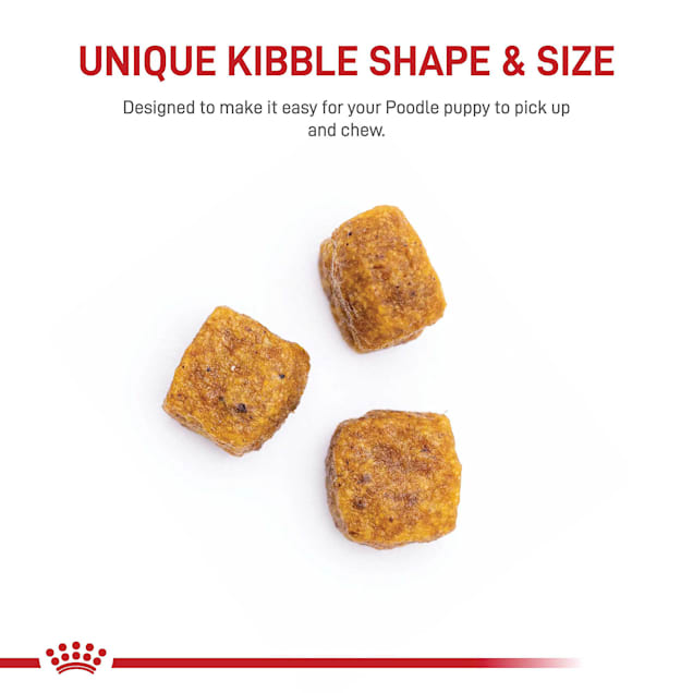 Best dog food for toy poodle puppy sale
