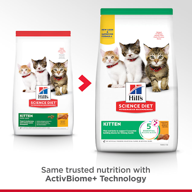Hills kitten dry food 2025