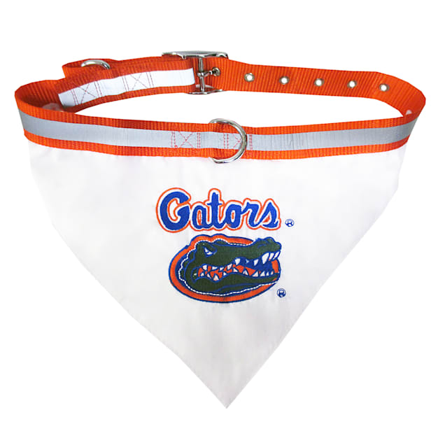 Florida gators dog bandana clearance