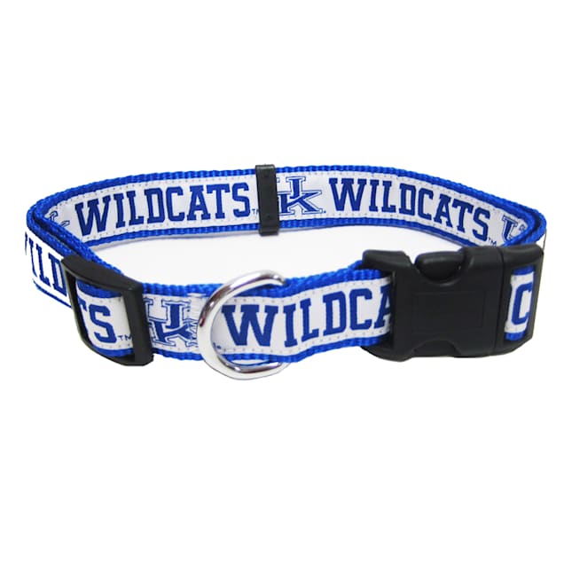 Kentucky wildcats dog collar new arrivals
