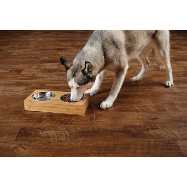 Harmony elevated dog bowl double diner best sale