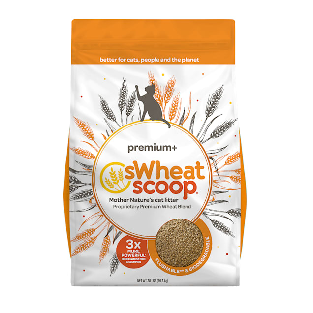 Swheat Scoop Unscented Premium+ All-Nature's Cat Litter, 36 lbs. - Carousel image #1