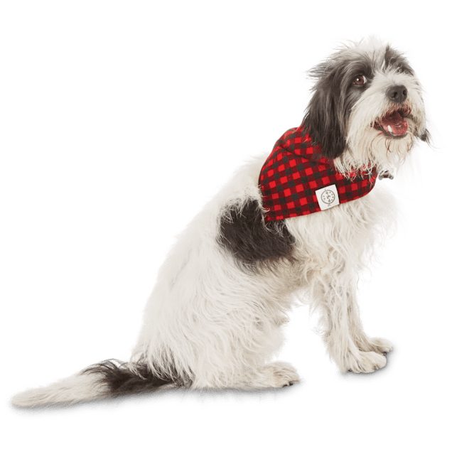 Dog Jerseys, Pet Carriers, Harness, Bandanas, Leashes