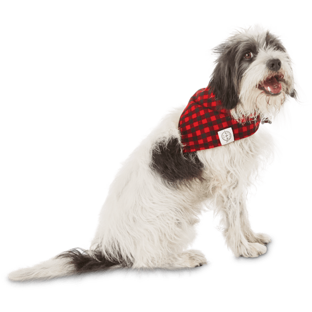 Petco bandana deals