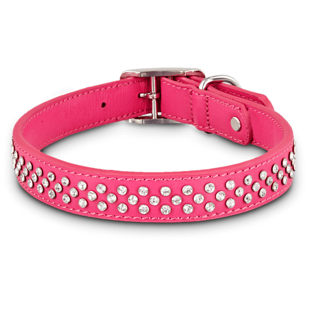 Bling collars for large dogs clearance