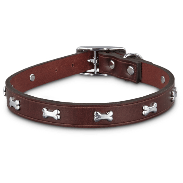 Dogs collar bone clearance