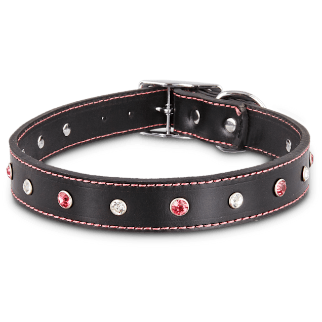 Petco leather dog collar clearance
