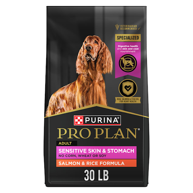 Purina high calorie dog clearance food