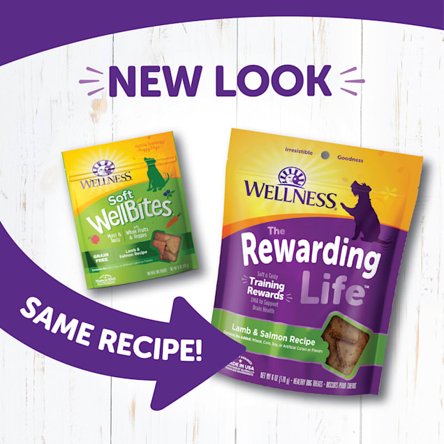 Chewy wellness complete health sales