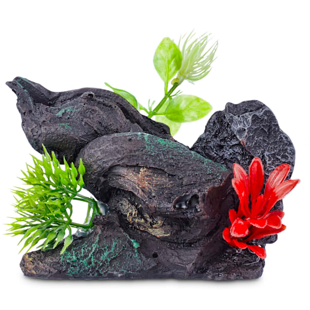 Petco aquarium rocks on sale