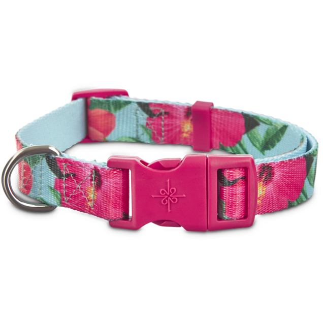 YOULY The JetSetter Hibiscus Dog Collar, Small Petco