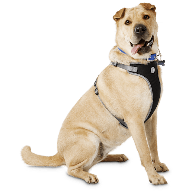 YOULY The Classic Black Harness for Large Dog, X-Large/XX-Large