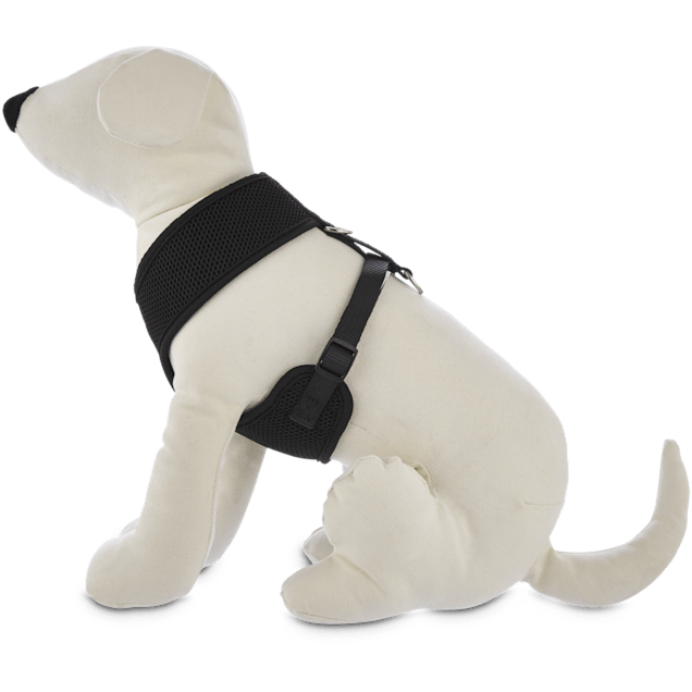 G Logo Dog Harness with Leash / S – My Perfect Mood