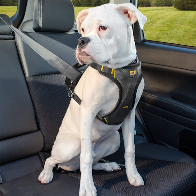 Seat belt for big dogs hot sale