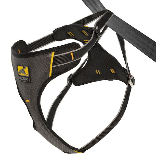 Petco seat belt discount harness