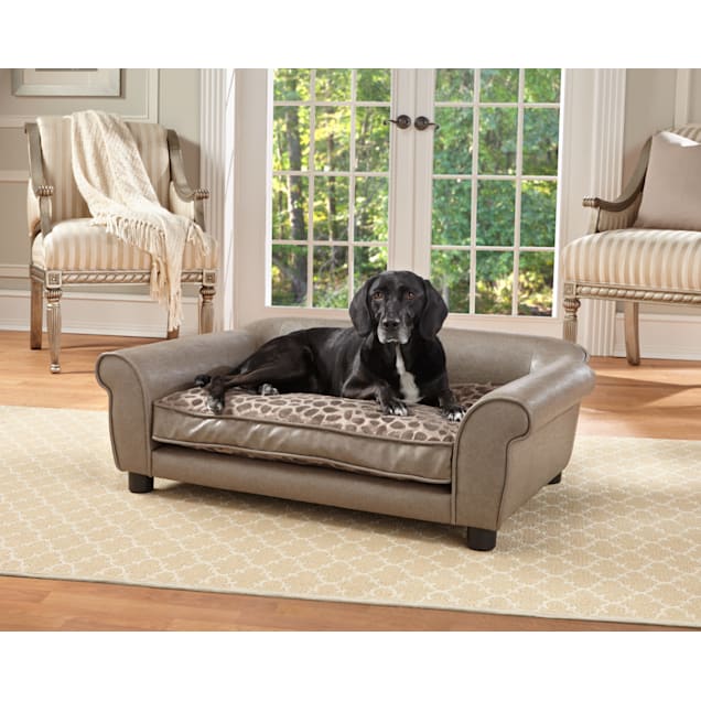 Petco dog hot sale sofa