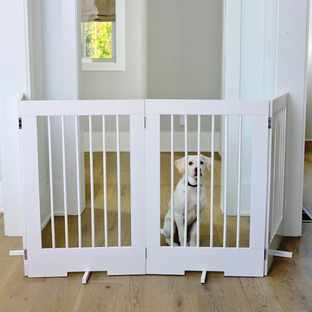 White pet gate sale