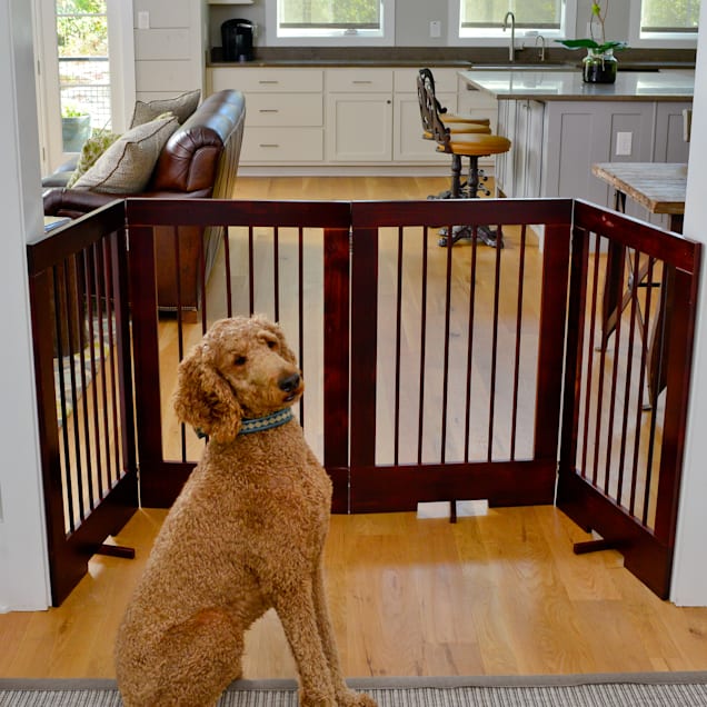 Walnut Cardinal Gates 4 Panel Freestanding Pet Gate