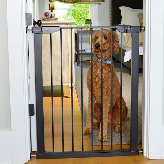 Cardinal gates perfect fit pet gate 2025