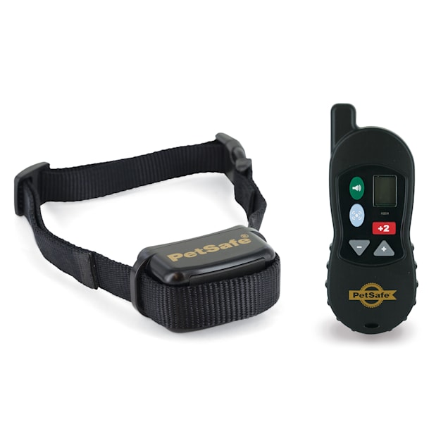 Petsafe dog training discount collar