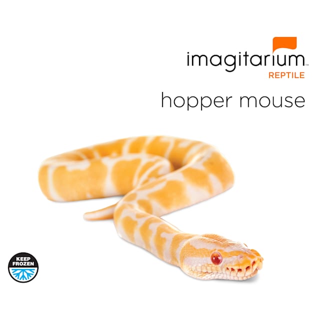 Frozen Hopper Mouse, Count of 10 Petco