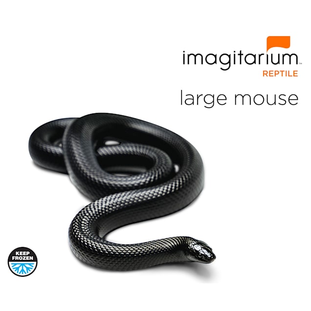 Frozen Large Mouse, Count of 10 Petco