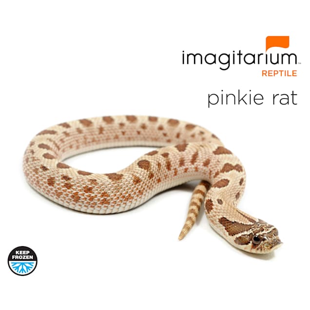 Petsmart pinky mice deals