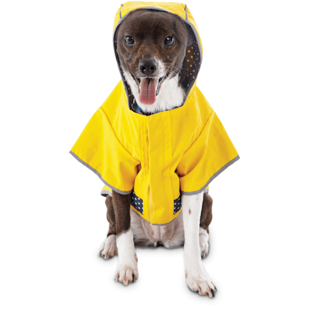 Good2go raincoat