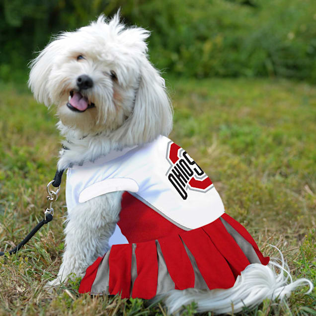 ohio state dog jersey
