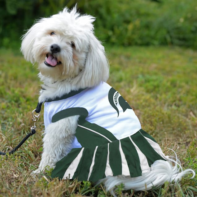 Msu dog jersey Clearance